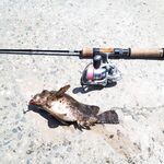 Сочи на рассветах и закатах: десятки поклёвок, весь улов обратно и просьба к местным