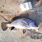 Сочи на рассветах и закатах: десятки поклёвок, весь улов обратно и просьба к местным