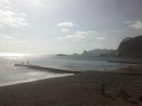 Заплывы с маской от Нового Света до Судака: кефаль, пеленгас и одна встреча со скатом