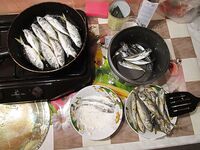 Черноморская береговая классика: небольшая, но бойкая рыба и идеальный тандем с пляжем