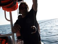 Дивноморское, катер и самодур: ставрида гирляндами к сумеркам, два дракона на борт