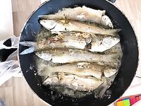 Болгария, Равда: телескоп «китаец», червь морской и долгожданная кефаль на волнорезе