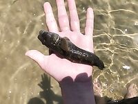 Болгария, Равда: телескоп «китаец», червь морской и долгожданная кефаль на волнорезе