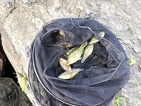 Болгария, Равда: телескоп «китаец», червь морской и долгожданная кефаль на волнорезе