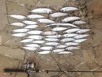 Если не упираться — рыба найдётся: короткая заметка о темпе и смене приманок