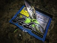 Первый день у моря: прозрачная галька, ерш стартует, ласкирь хитрит и ночь за ставридой