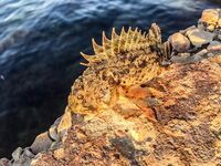 Первый день у моря: прозрачная галька, ерш стартует, ласкирь хитрит и ночь за ставридой