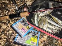 Первый день у моря: прозрачная галька, ерш стартует, ласкирь хитрит и ночь за ставридой