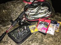 Ночь в диких местах: Specter, светонакопительный Shirasu и горбыль как трофей