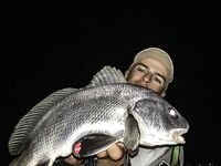 Ночь в диких местах: Specter, светонакопительный Shirasu и горбыль как трофей