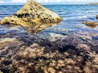 Ставрида опаздывала: Spider Pro до 5 г, джиг-головы 1.3–2.5 и ночной выход