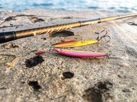 Не каждый пирс рабочий: Damiki Balhae 7 г, Tokon 9 г и первый сарган после луфаря