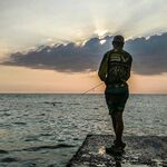 Не каждый пирс рабочий: Damiki Balhae 7 г, Tokon 9 г и первый сарган после луфаря