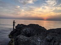 Остров по грудь и сарган-«макароны»: два пилькера улетели, но вечер незабываем