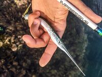 Остров по грудь и сарган-«макароны»: два пилькера улетели, но вечер незабываем