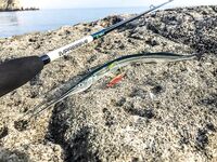 Остров по грудь и сарган-«макароны»: два пилькера улетели, но вечер незабываем