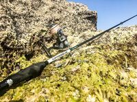 «Заряженный» пилькер и пеламида у берега: тонкий шнур, толстый флюр и эксперименты