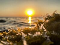 «Заряженный» пилькер и пеламида у берега: тонкий шнур, толстый флюр и эксперименты