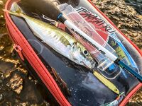 Пирс битком, пилькер Потманского и горбыль на UL до 3 г — вечер сделал