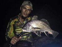 Пирс битком, пилькер Потманского и горбыль на UL до 3 г — вечер сделал