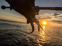 Каяк Yeti-kayak, диппер и течение: сарган на пилькер и вечерняя раздача ставриды