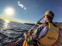 Каяк Yeti-kayak, диппер и течение: сарган на пилькер и вечерняя раздача ставриды