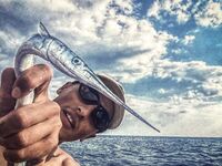 Шторм и «дабл Flash line»: Aurora до 6 г, три колебалки и проводка под метал твич