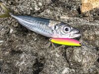 Шторм и «дабл Flash line»: Aurora до 6 г, три колебалки и проводка под метал твич