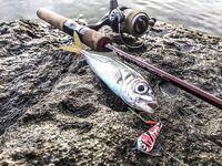 Шторм и «дабл Flash line»: Aurora до 6 г, три колебалки и проводка под метал твич