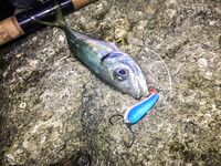 Шторм и «дабл Flash line»: Aurora до 6 г, три колебалки и проводка под метал твич