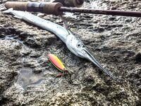 Шторм и «дабл Flash line»: Aurora до 6 г, три колебалки и проводка под метал твич