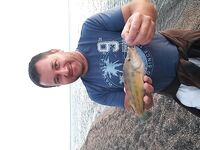 Севастополь на бегу: по пару кило ставридки вечером, рай рыбацкий по изобилию видов