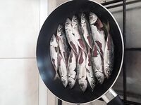 Севастополь на бегу: по пару кило ставридки вечером, рай рыбацкий по изобилию видов