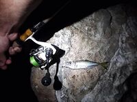 Севастополь на бегу: по пару кило ставридки вечером, рай рыбацкий по изобилию видов