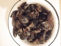 Севастополь на бегу: по пару кило ставридки вечером, рай рыбацкий по изобилию видов