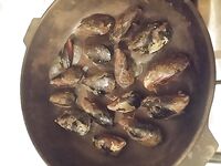 Севастополь на бегу: по пару кило ставридки вечером, рай рыбацкий по изобилию видов