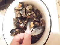 Севастополь на бегу: по пару кило ставридки вечером, рай рыбацкий по изобилию видов