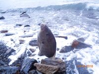 Большой Утриш, штормовые дни: бомбарда с блестящим крючком, ёрш и карась на насадку