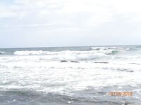 Большой Утриш, штормовые дни: бомбарда с блестящим крючком, ёрш и карась на насадку