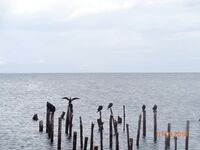 Большой Утриш, штормовые дни: бомбарда с блестящим крючком, ёрш и карась на насадку