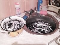 ЮБК, сезон уже вовсю: короткая отметка о старте прибрежных выходов