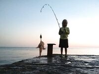 ЮБК, семейные моменты: дочка ловит ершей, план на горбыля переносим на ноябрь