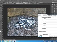 Пляж, купание и спиннинг: немного фото, немного математики и равновесия для души