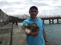 Полуденный выход: проверил точку, тень и паузы решали