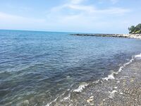 Лоо: мелко и без волнорезов; ставридка вечером стабильно, «Лесная» выглядит перспективно