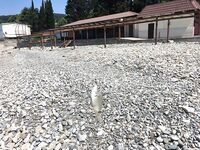 Лоо: мелко и без волнорезов; ставридка вечером стабильно, «Лесная» выглядит перспективно