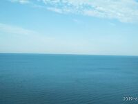 Днём больше купался, но улов всё же есть: короткая пауза от жары