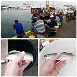 Сочи, Мамайка и Адлер: чуларка на хлеб и ставридка на зелёные мушки