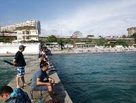 Сочи, Мамайка и Адлер: чуларка на хлеб и ставридка на зелёные мушки