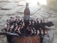 Два крючка в петле и пилькер вместо груза: самодурная логика под местные условия